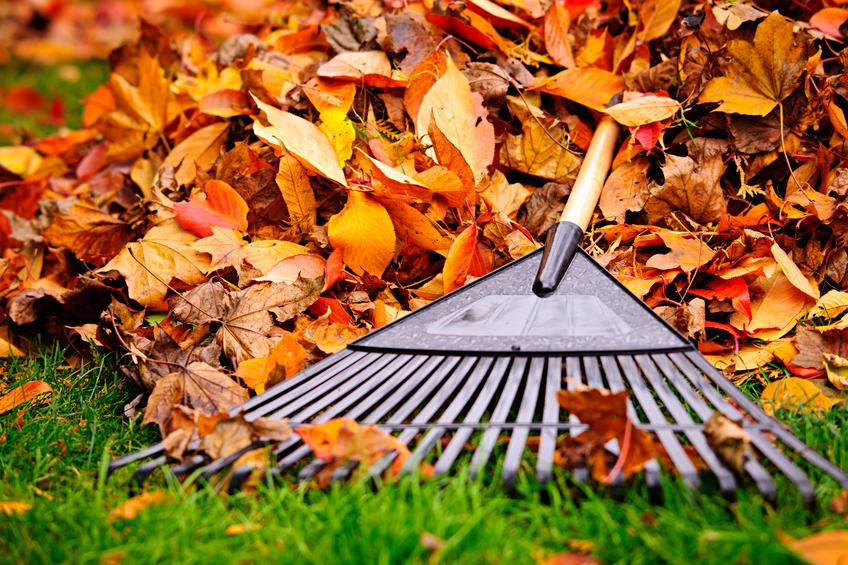 The Angie’s List Guide to Fall Cleaning