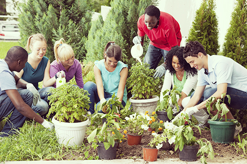 Group of teenage friends gardening.