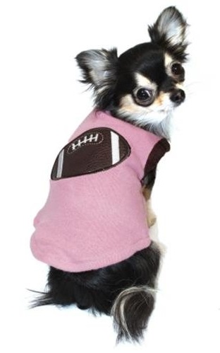 dog_football_sweater
