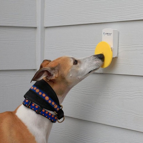doggie_doorbell