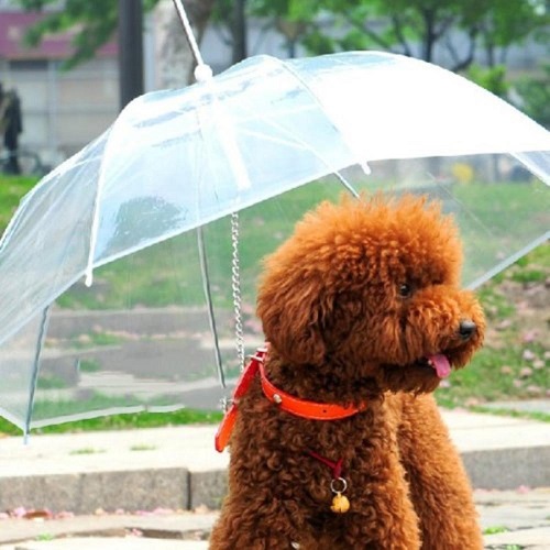 umbrella_leash