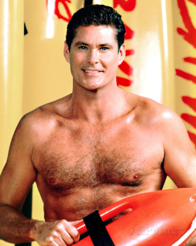The Hoff Poster