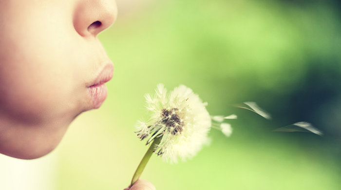 Blowing a dandelion into the air
