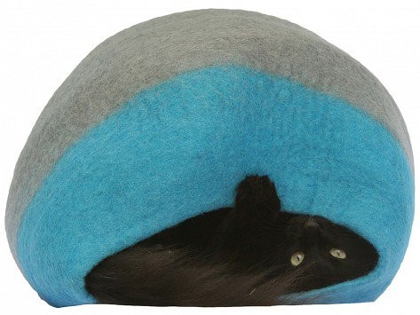 Cat laying upside down in cat bed