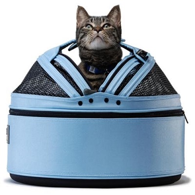 Blue cat carrier with cat inside