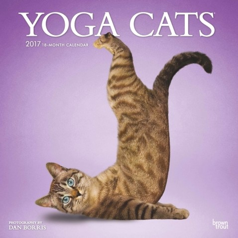 Yoga cats calendar