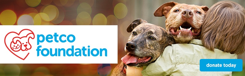The Petco Foundation page