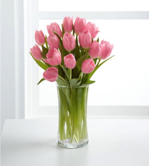 Bouquet of pink tulips in glass vase