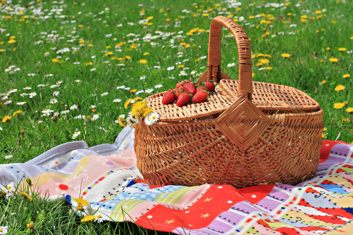 Picnic basket and blanket on grass