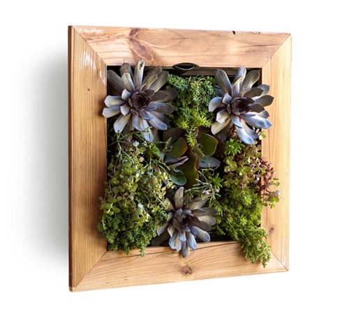 Reclaimed Wood Living Wall