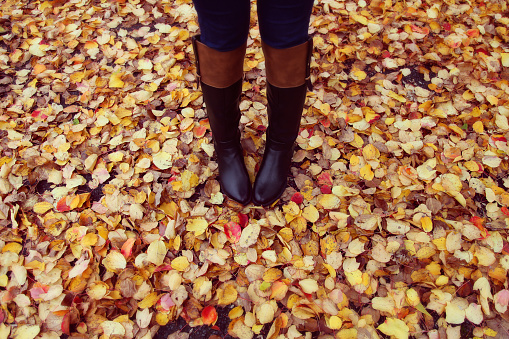 Black boots and colourful autumn leaves