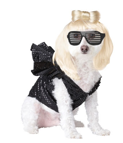 Lady Dogga Dog Animal Planet Pet Halloween Costume