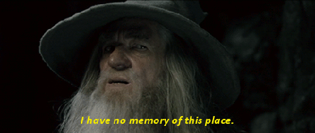 Gandalf Lord of the Rings lost GIF