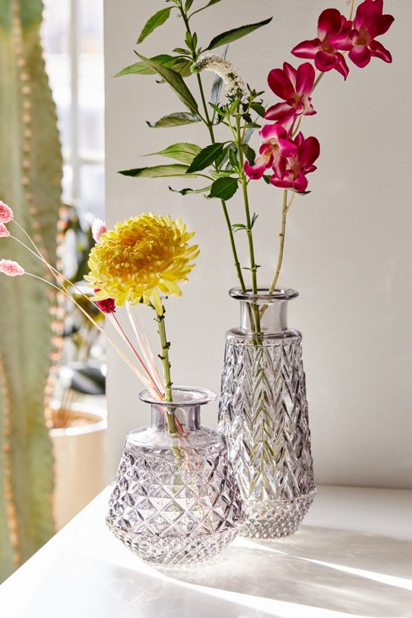 Cara Short and Tall Glass Vases