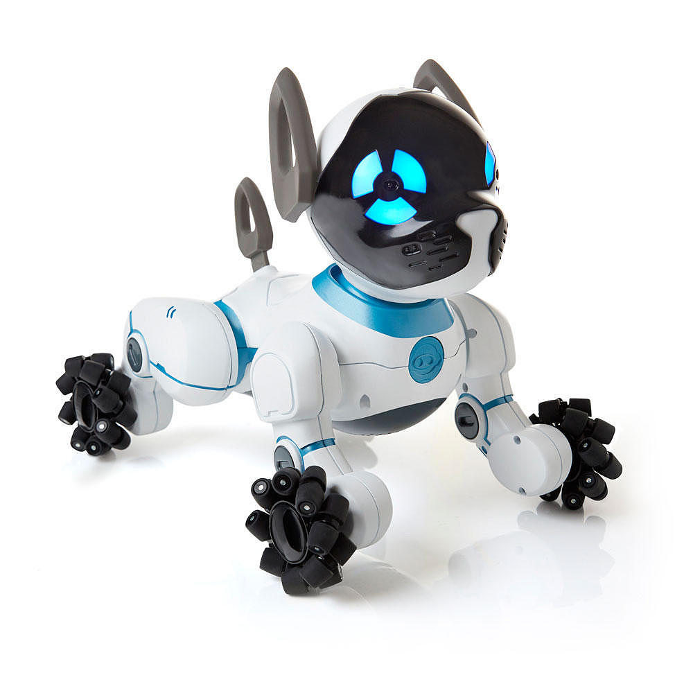 CHiP the Lovable Robot Dog