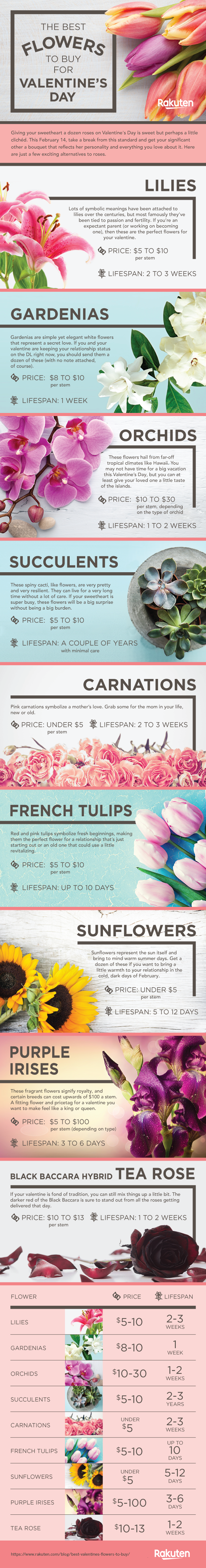 Best Valentine's Flowers to Buy infographic