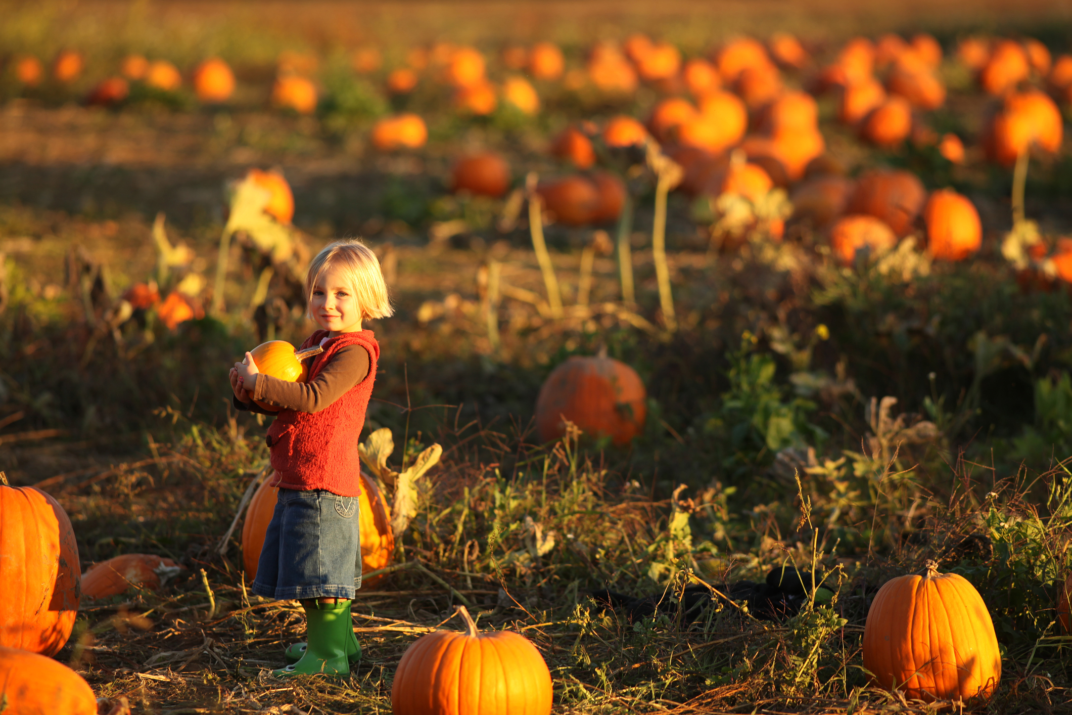 Insta-Worthy Autumn Activities Your Family and Followers Will Love
