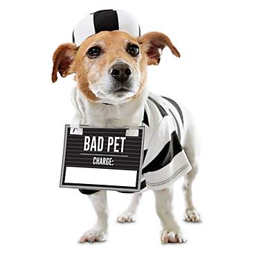 Bootique Prisoner dog costume