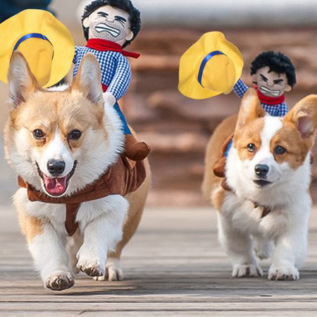 Cowboy Riders Dog Costume
