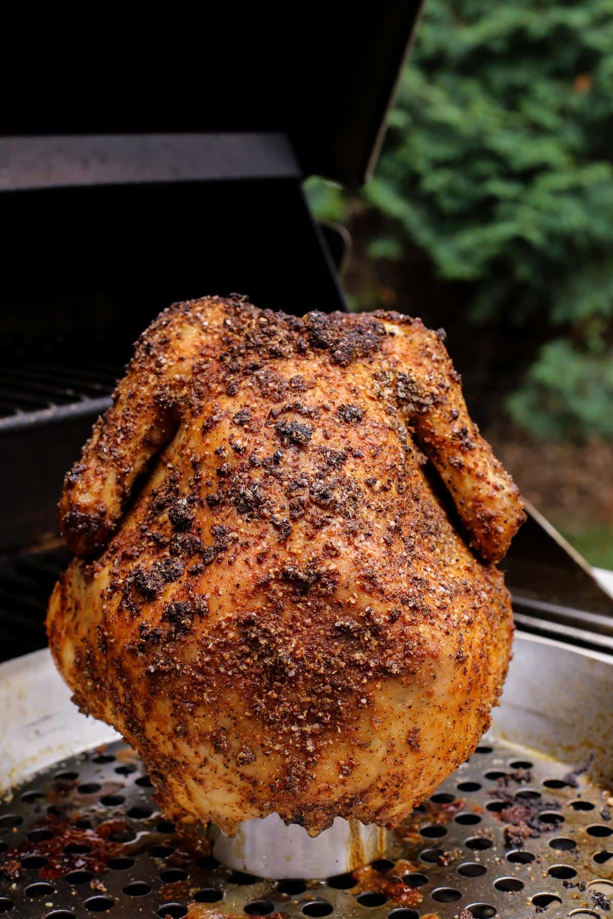 A Farmgirl's Dabbles Beer Can Chicken