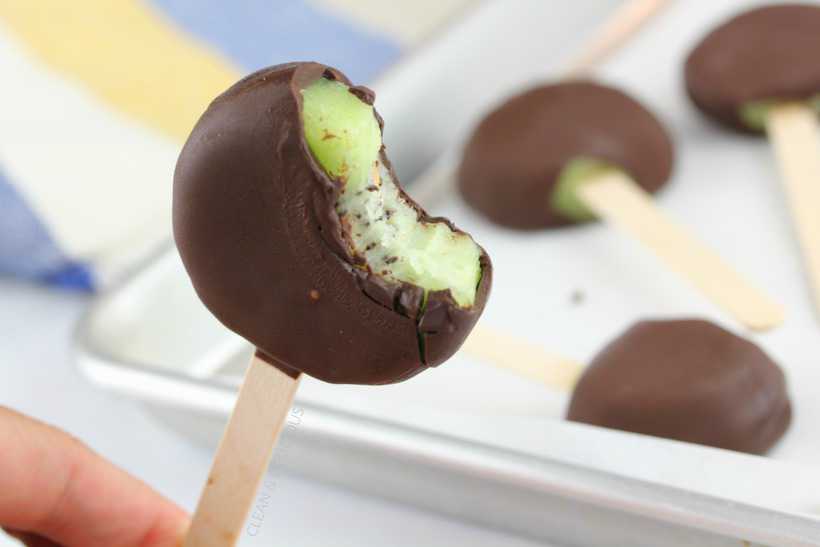 Dark Chocolate Covered Kiwi Pops