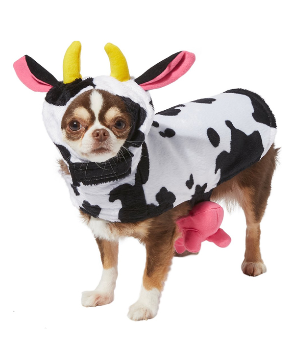 Cow dog costume
