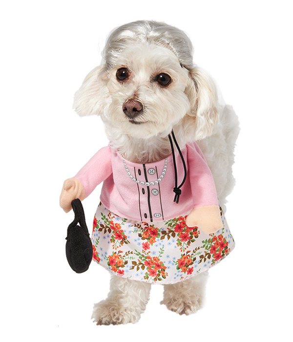 Frisco Front Walking Granny Dog Costume