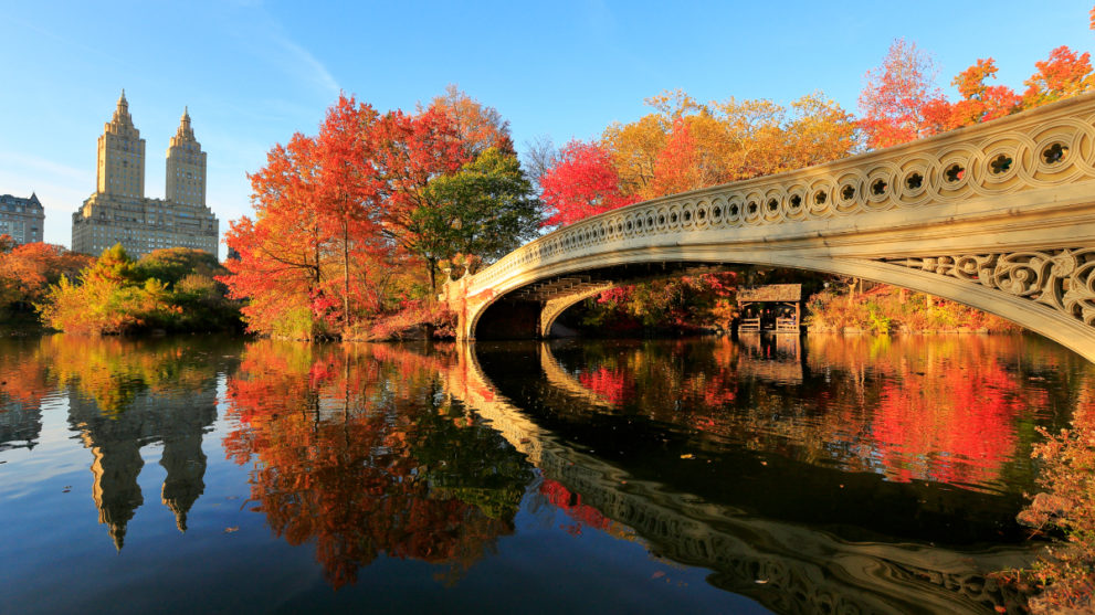The Best Destinations for Fall Foliage This Year