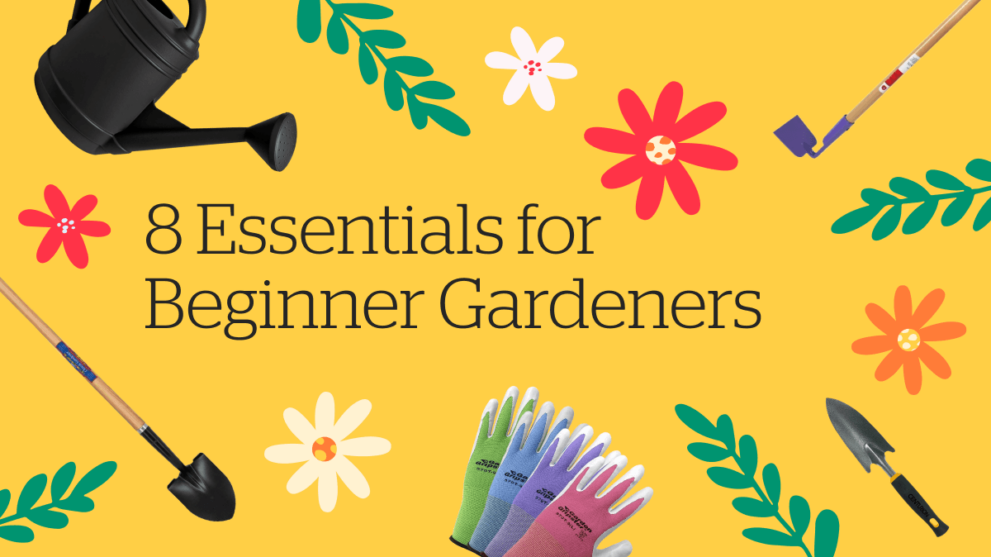 8 Essentials for Beginner Gardeners