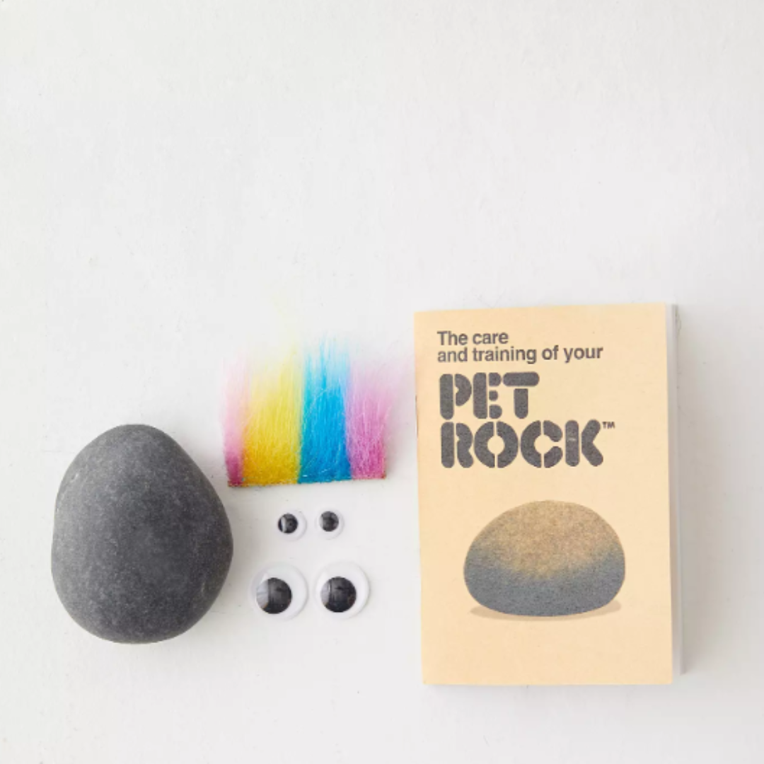 urban outfitters pet rock