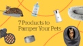 7 Products to Pamper Your Pets