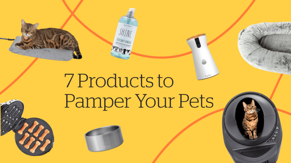 7 Products to Pamper Your Pets