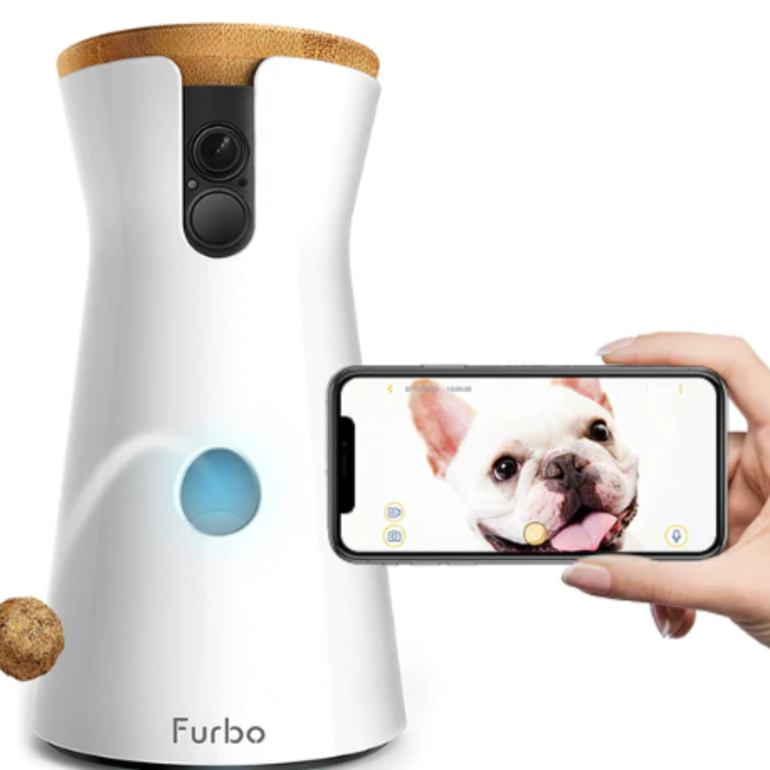 furbo 360 dog camera